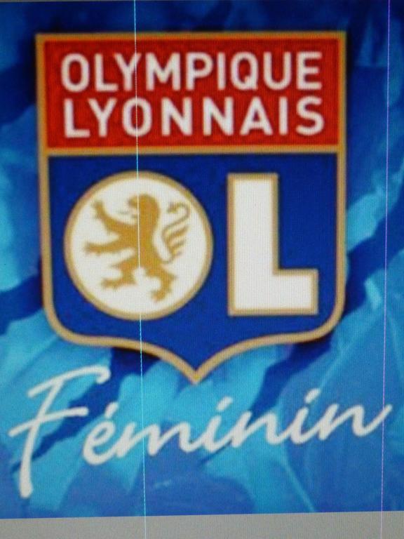 Laennec Lião Exterior foto